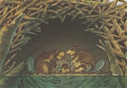 Семья бобров в хатке